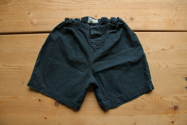15 indigo shorts used (1)